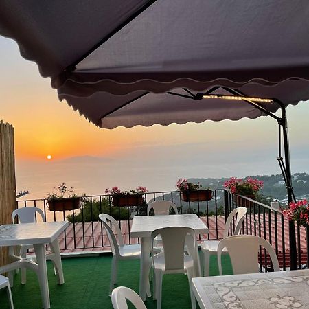 Le Ginestre Di Capri Bb & Holiday House 阿纳卡普里 外观 照片