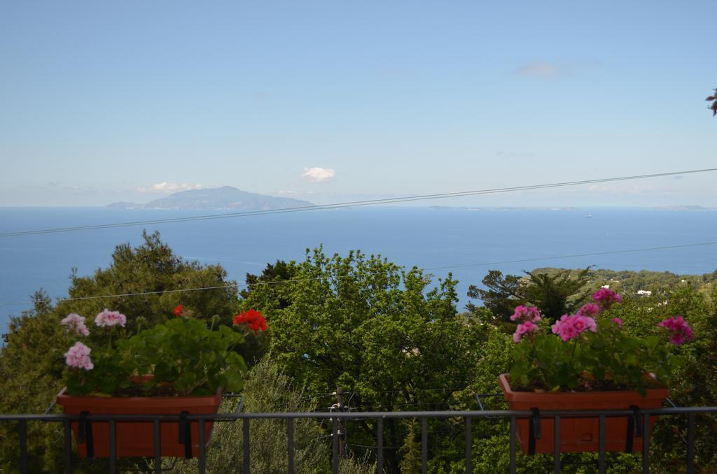 Le Ginestre Di Capri Bb & Holiday House 阿纳卡普里 外观 照片