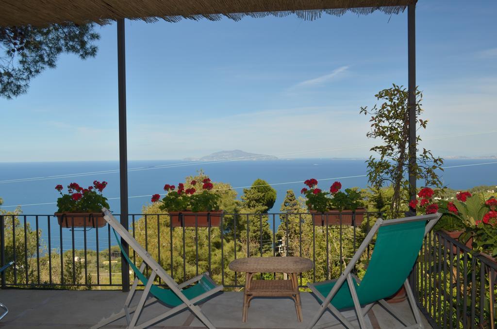 Le Ginestre Di Capri Bb & Holiday House 阿纳卡普里 外观 照片