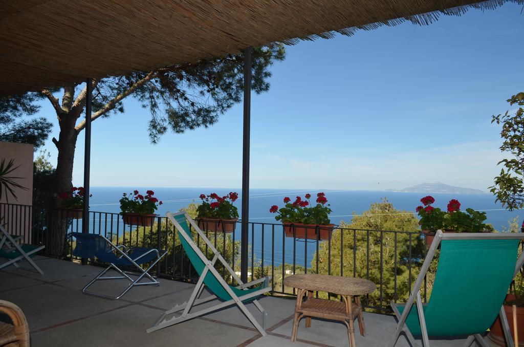 Le Ginestre Di Capri Bb & Holiday House 阿纳卡普里 外观 照片