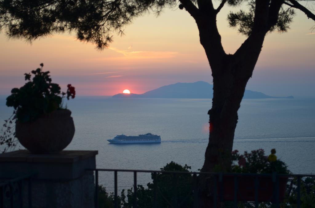 Le Ginestre Di Capri Bb & Holiday House 阿纳卡普里 外观 照片