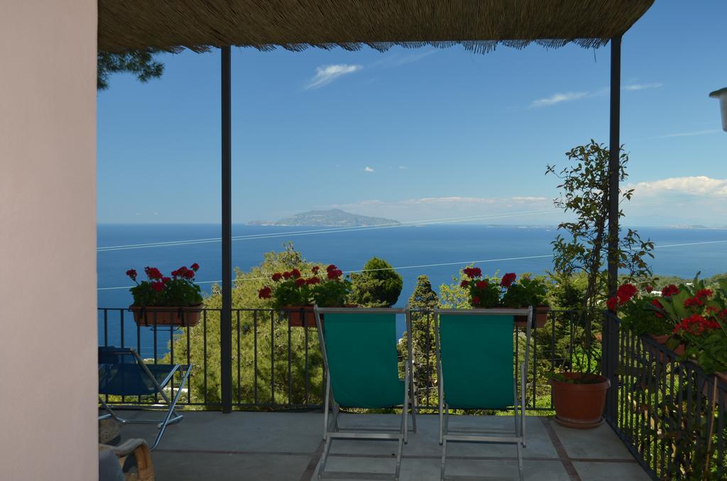 Le Ginestre Di Capri Bb & Holiday House 阿纳卡普里 外观 照片