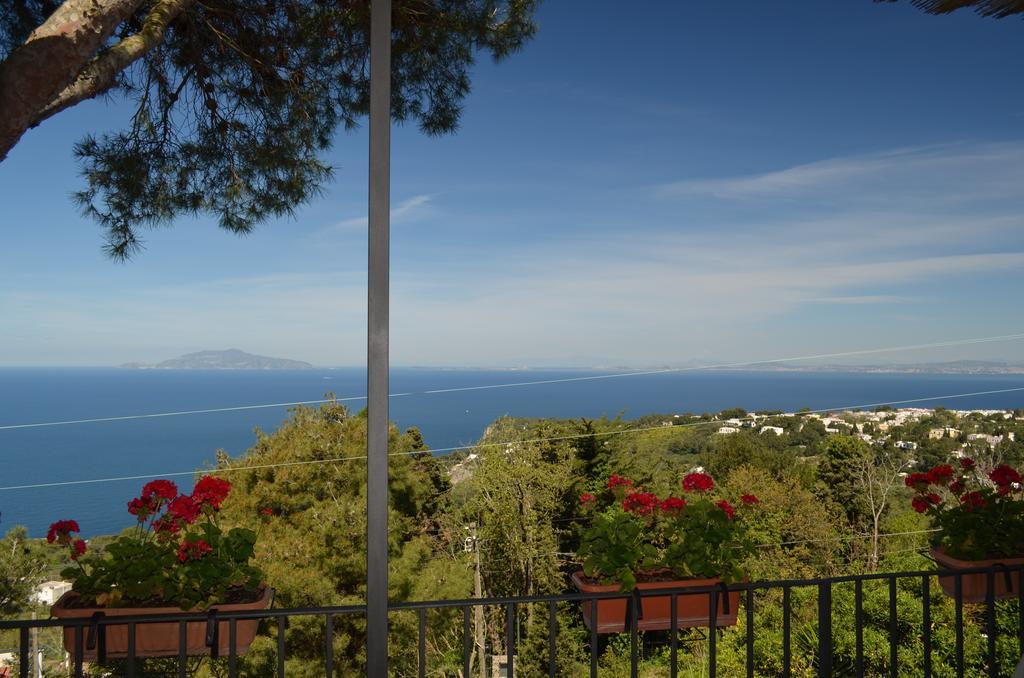 Le Ginestre Di Capri Bb & Holiday House 阿纳卡普里 外观 照片