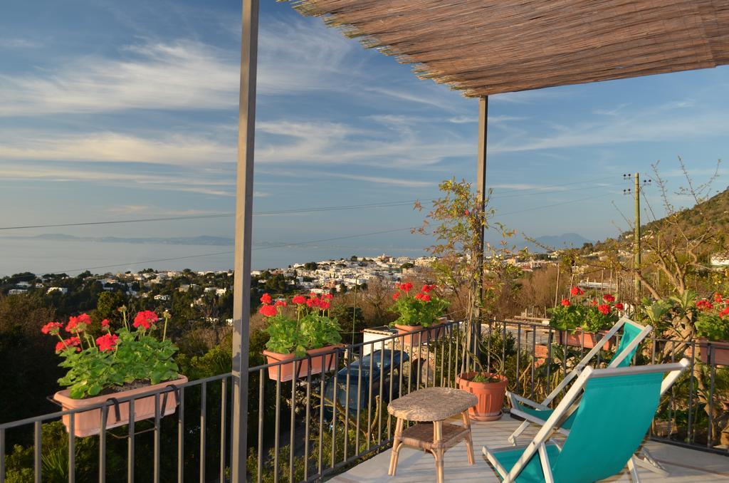 Le Ginestre Di Capri Bb & Holiday House 阿纳卡普里 外观 照片
