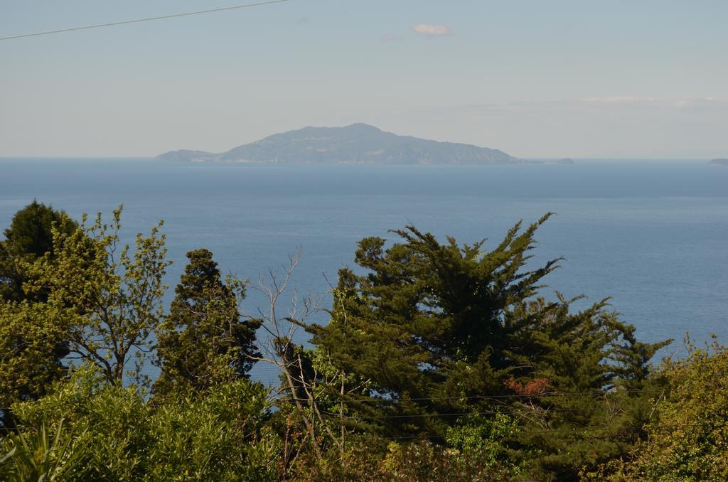 Le Ginestre Di Capri Bb & Holiday House 阿纳卡普里 外观 照片