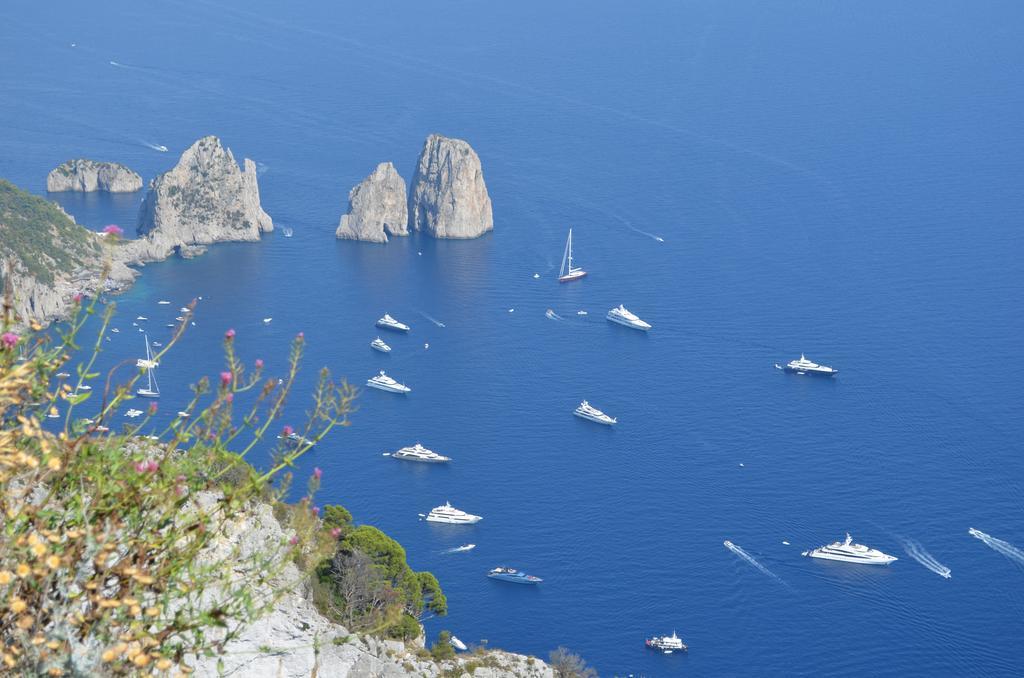 Le Ginestre Di Capri Bb & Holiday House 阿纳卡普里 外观 照片