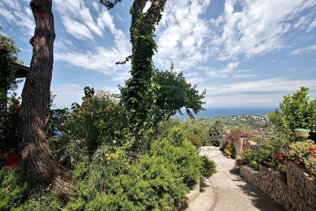 Le Ginestre Di Capri Bb & Holiday House 阿纳卡普里 外观 照片