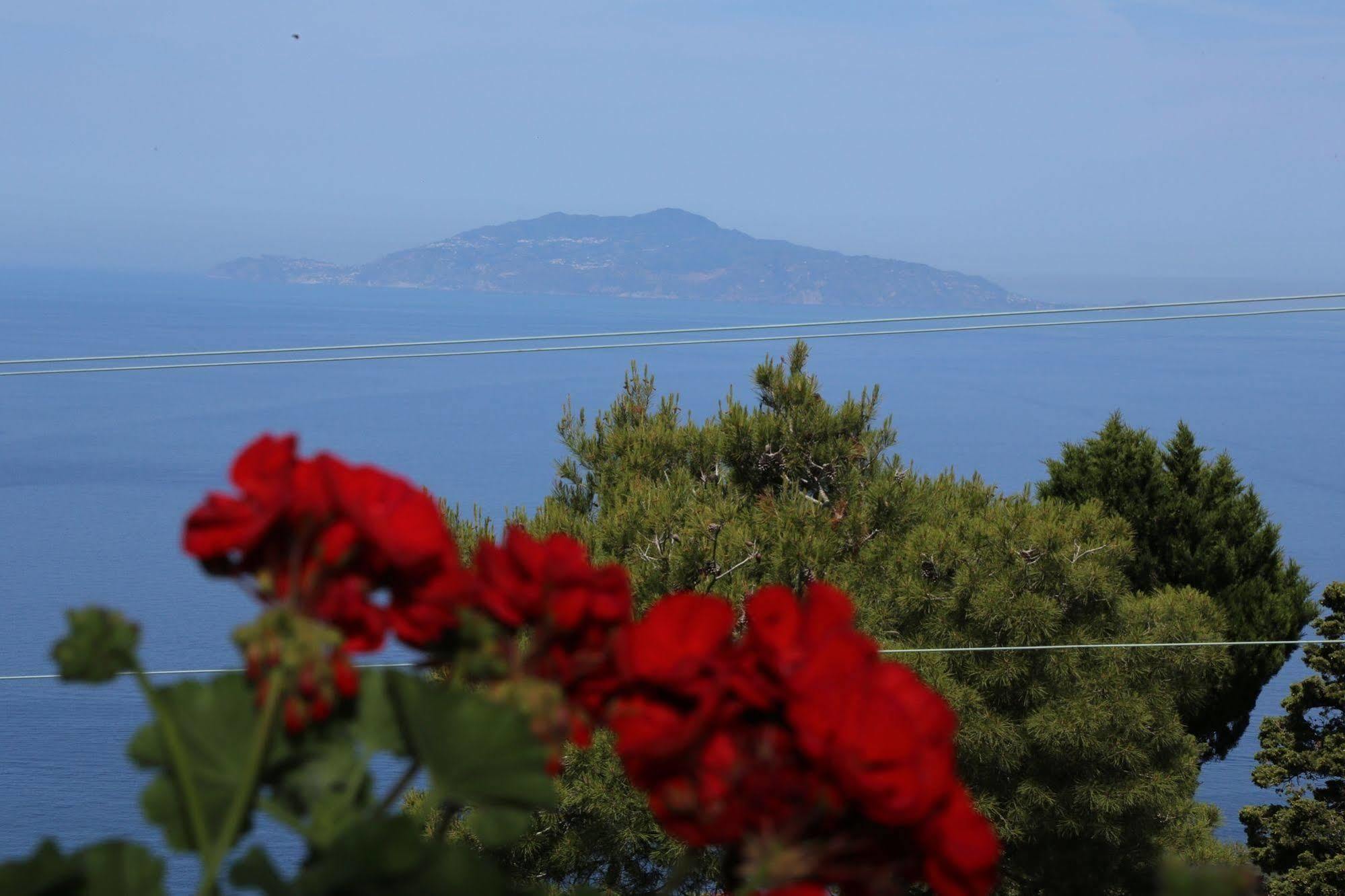 Le Ginestre Di Capri Bb & Holiday House 阿纳卡普里 外观 照片